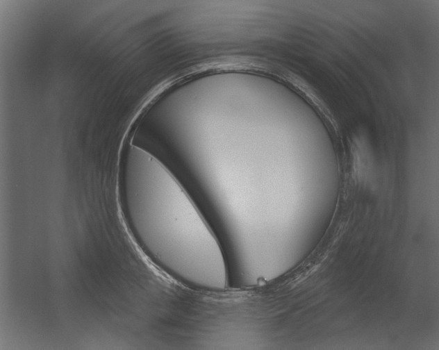 X0000054360853200507290803