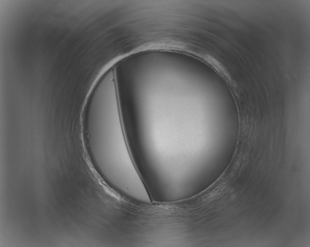 X0000054360854200507290803