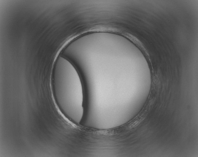 X0000054360855200507290803