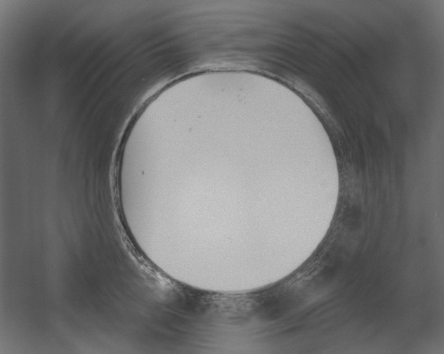 X0000054360856200507290803
