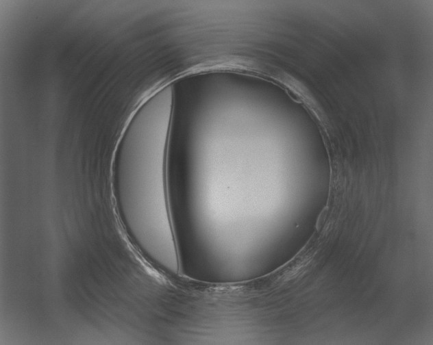X0000054360858200507290803