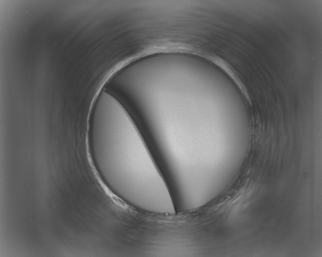 X0000054360861200507290803