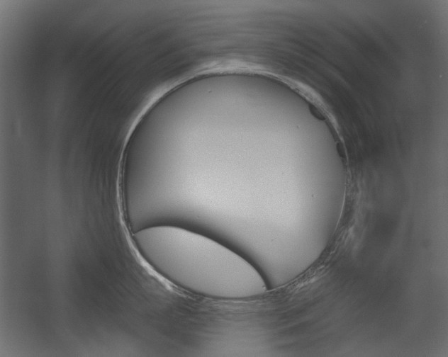 X0000054360863200507290803