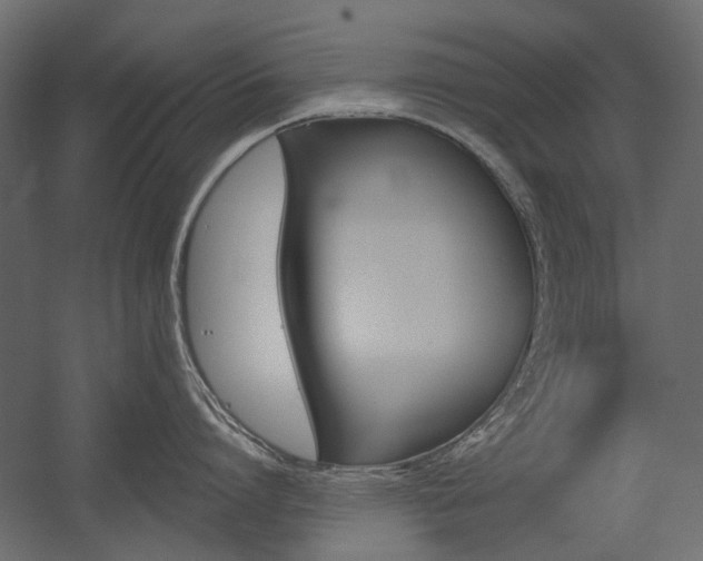 X0000054360864200507290803