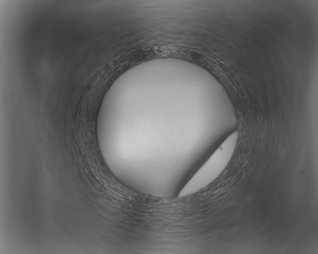 X0000054360865200507290802