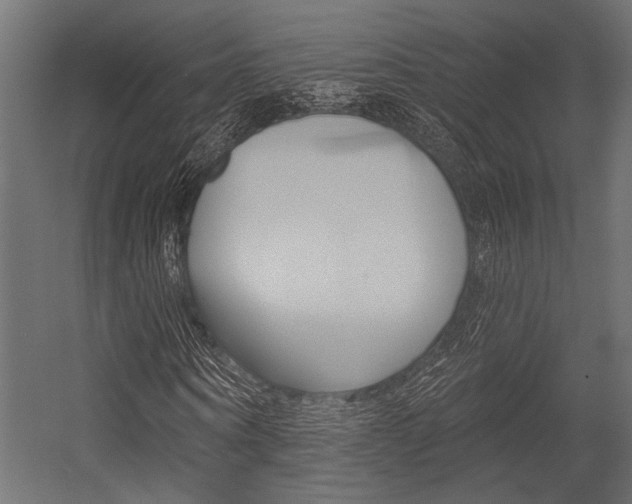 X0000054360866200507290802