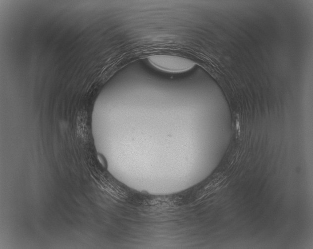 X0000054360867200507290802