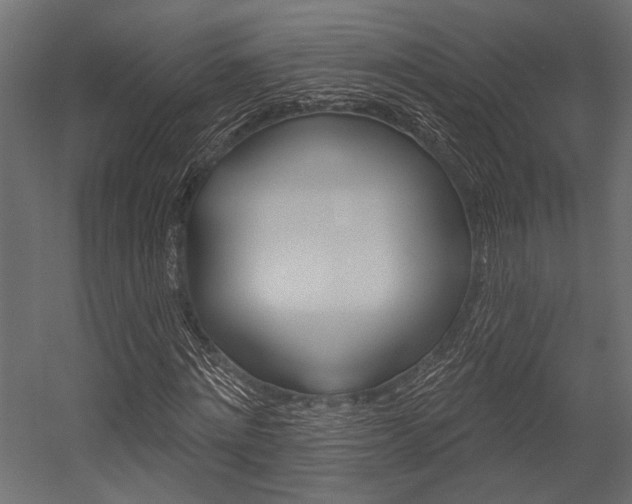 X0000054360868200507290802