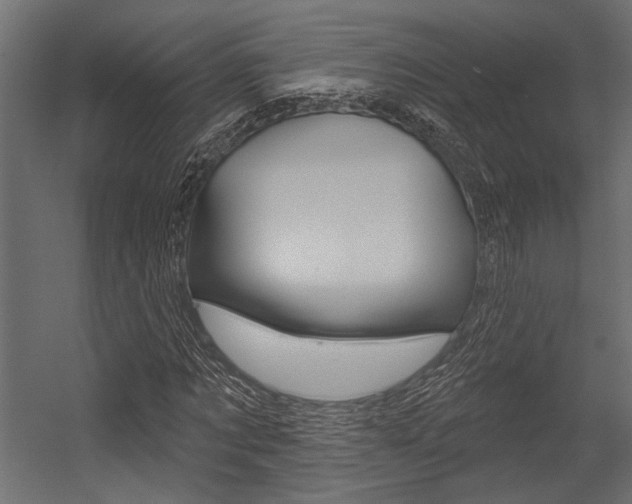 X0000054360869200507290802