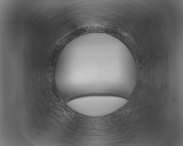 X0000054360870200507290802