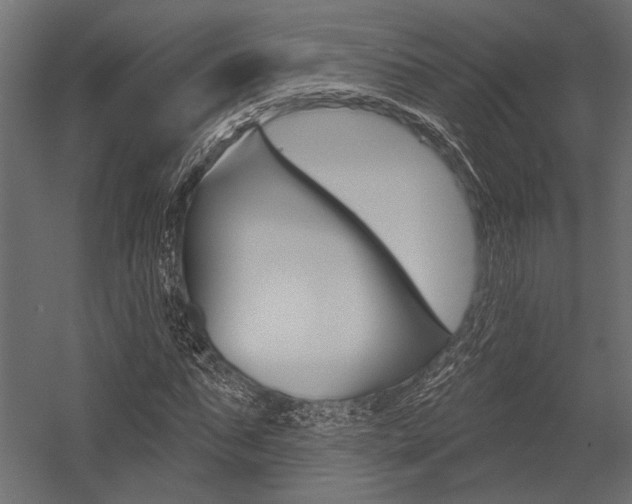 X0000054360871200507290802