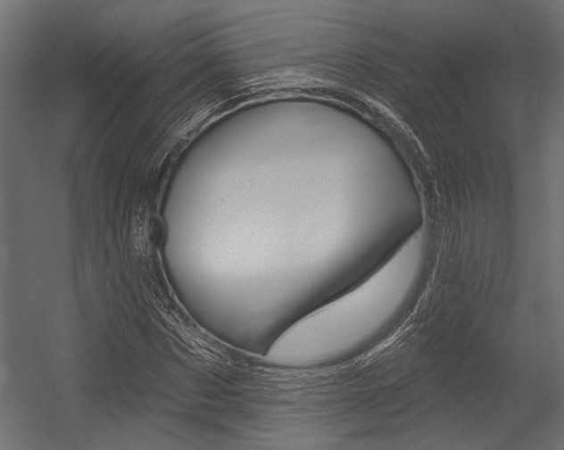 X0000054360873200507290802