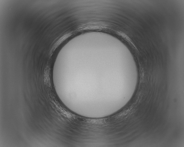 X0000054360874200507290802