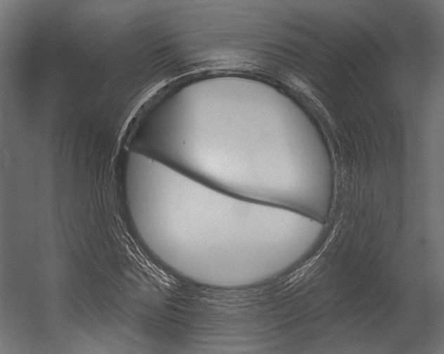 X0000054360875200507290802