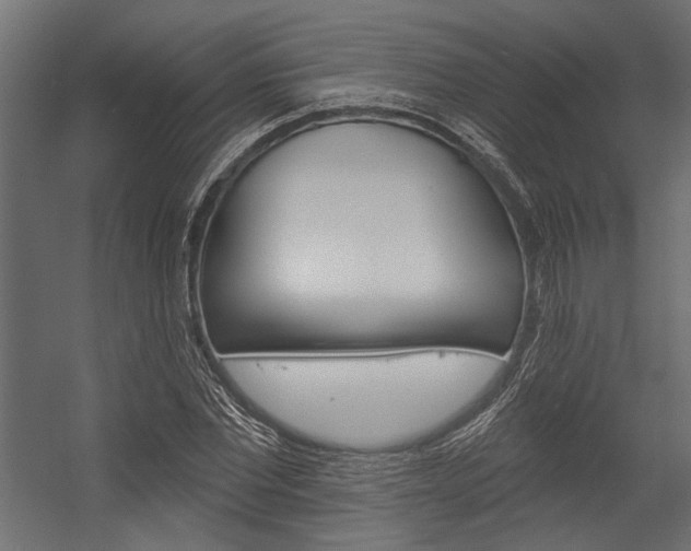 X0000054360877200507290802