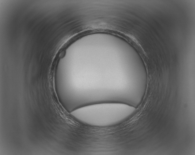 X0000054360879200507290802