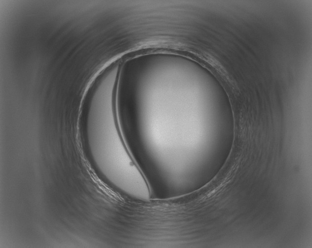 X0000054360880200507290802
