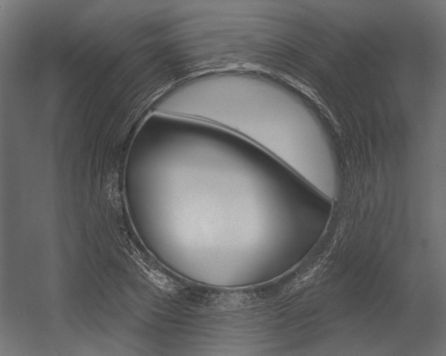 X0000054360881200507290802