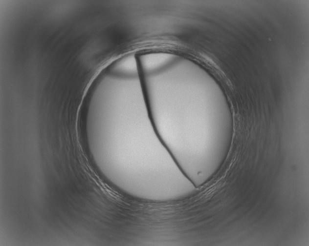X0000054360883200507290802