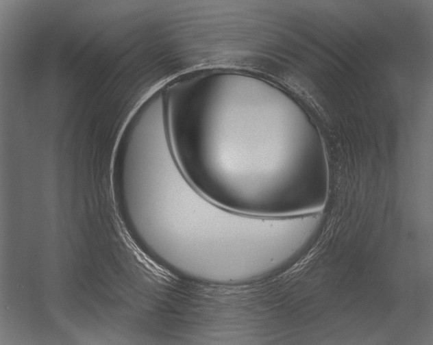 X0000054360884200507290802