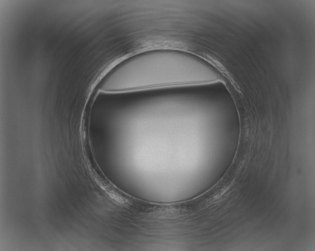 X0000054360885200507290802