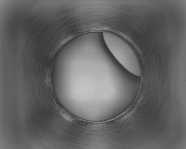 X0000054360889200507290802