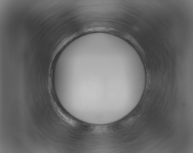 X0000054360890200507290802