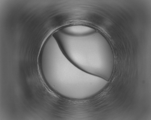 X0000054360891200507290802