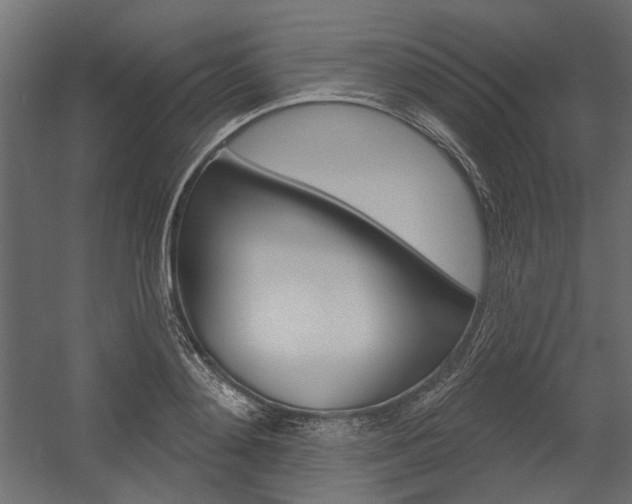 X0000054360892200507290802