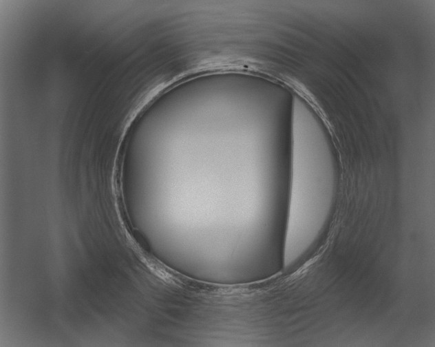 X0000054360893200507290802
