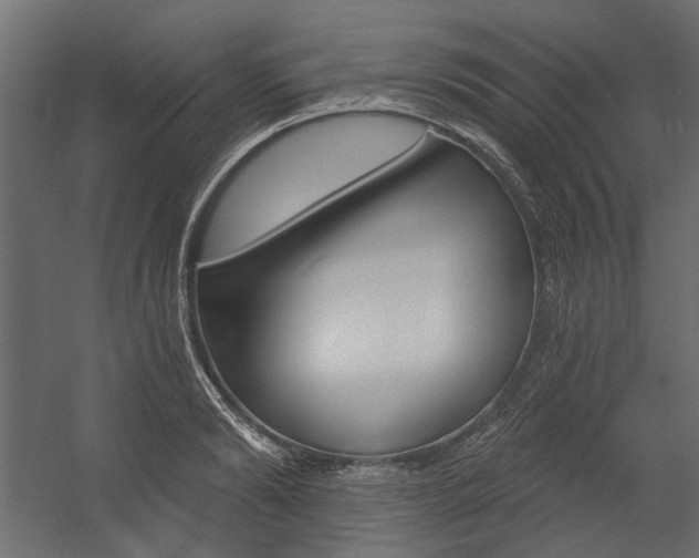 X0000054360894200507290802