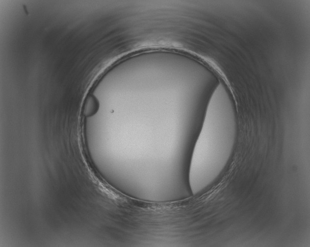 X0000054360895200507290802