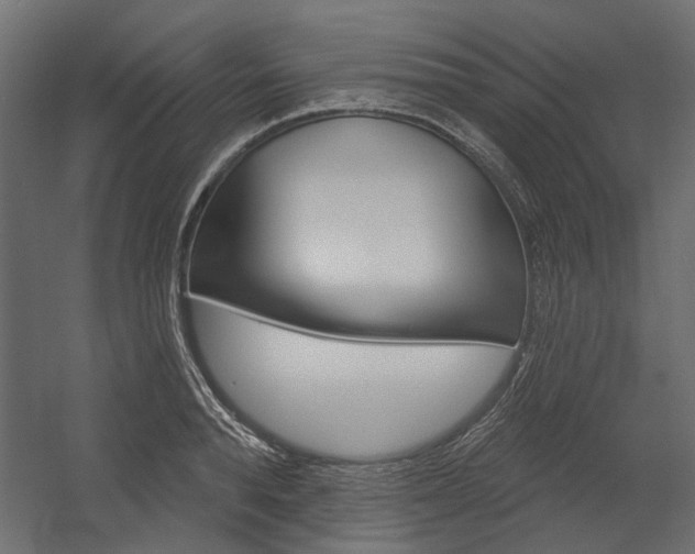X0000054360896200507290802