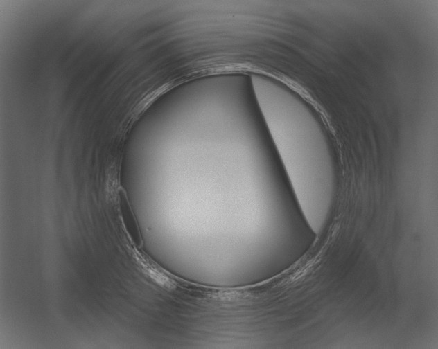 X0000054360897200507290802