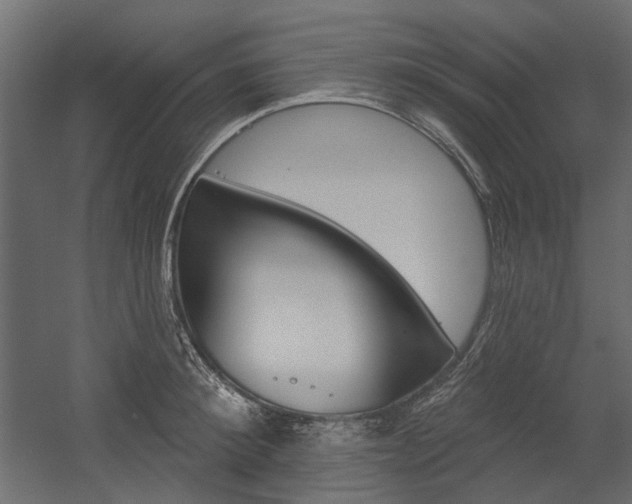 X0000054360900200507290802