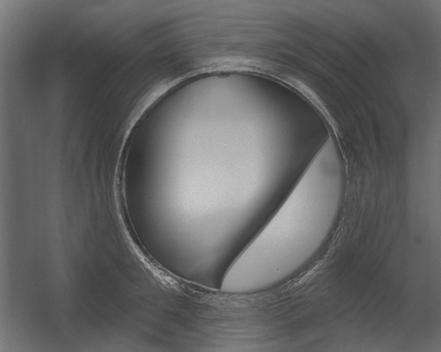 X0000054360901200507290802