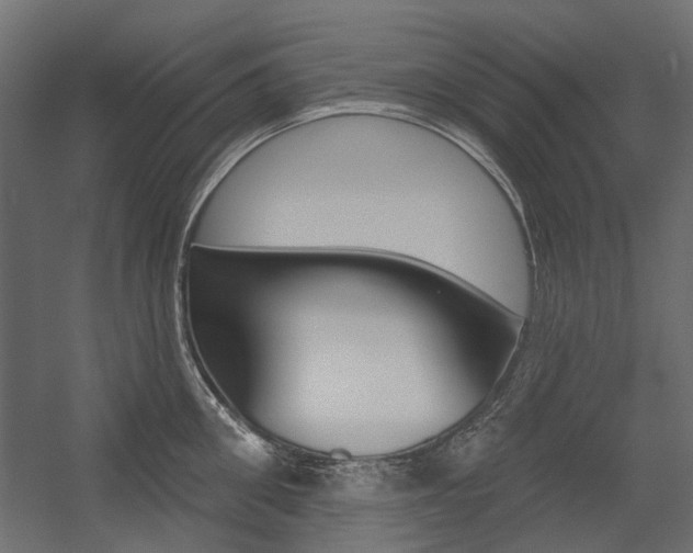 X0000054360906200507290802