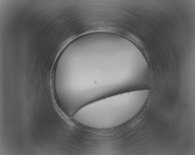 X0000054360907200507290801