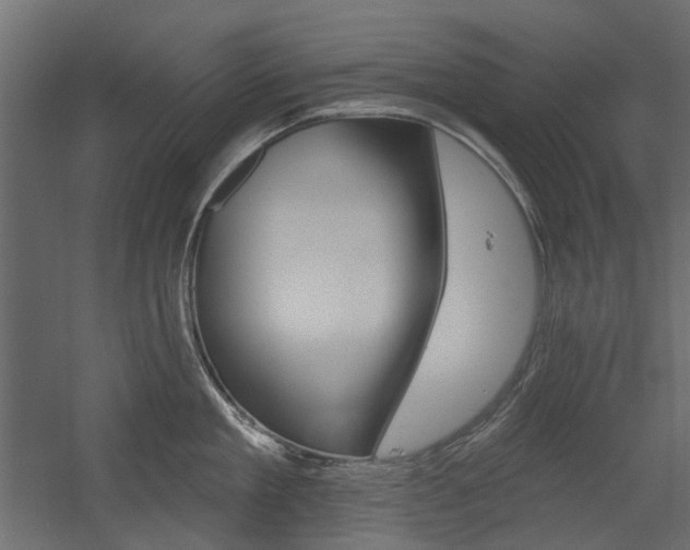 X0000054360909200507290801