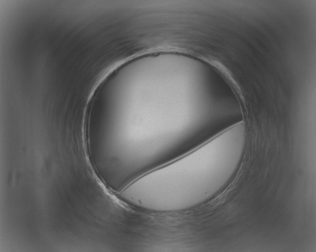 X0000054360910200507290801