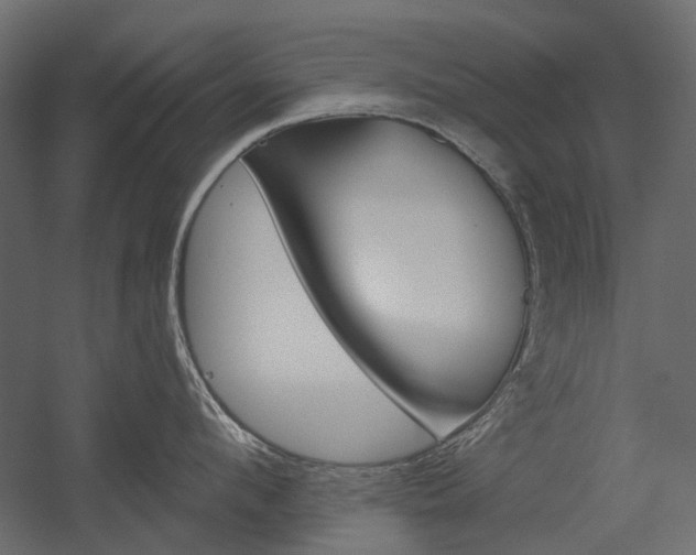 X0000054360912200507290801