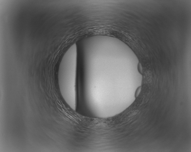 X0000054360913200507290801