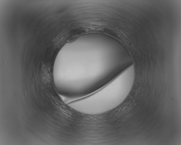 X0000054360915200507290801