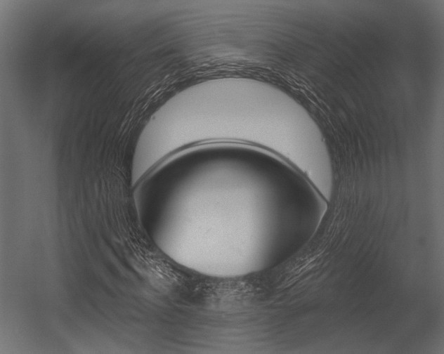 X0000054360916200507290801