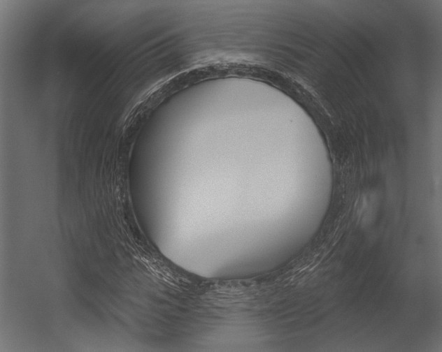 X0000054360919200507290801