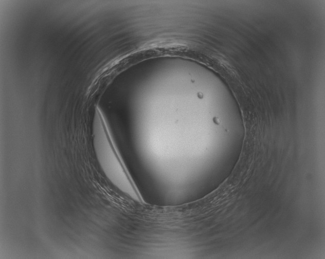 X0000054360920200507290801