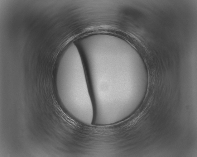 X0000054360921200507290801