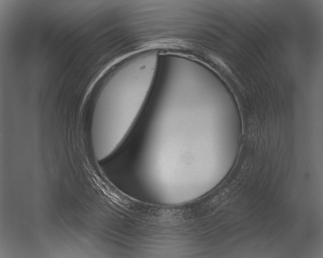 X0000054360923200507290801