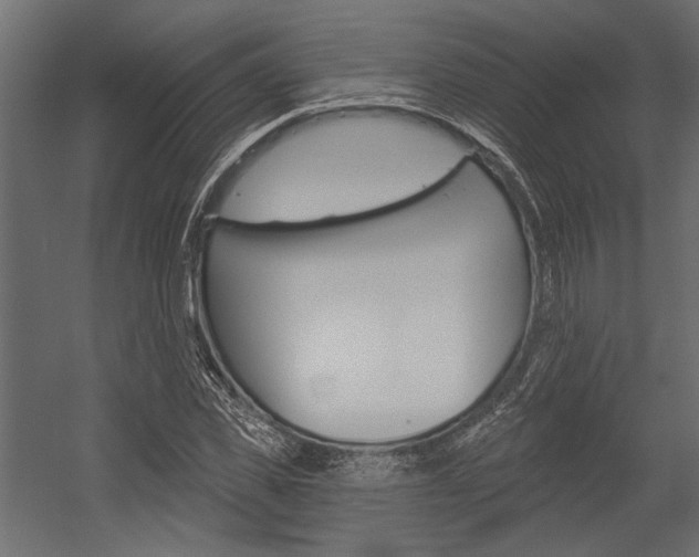 X0000054360925200507290801