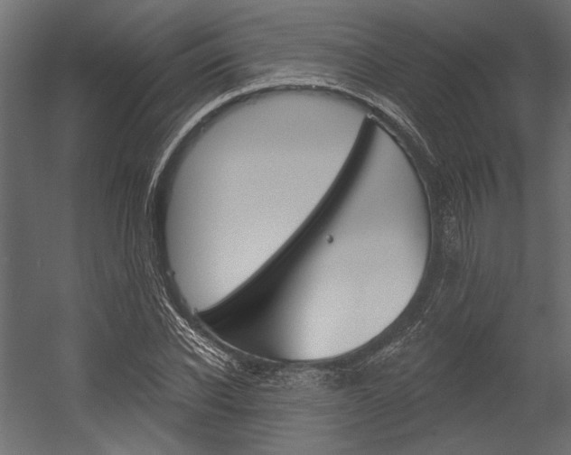 X0000054360926200507290801